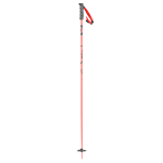 Scott SEA Pole