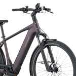 Bergamont E-Horizon Tour 10 Belt