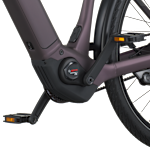 Bergamont E-Horizon Tour 10 Belt
