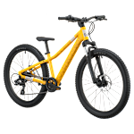 Scott Roxter 400 Bike