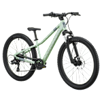 Scott Roxter 400 Bike