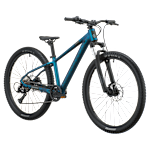 Scott Roxter 600 Bike
