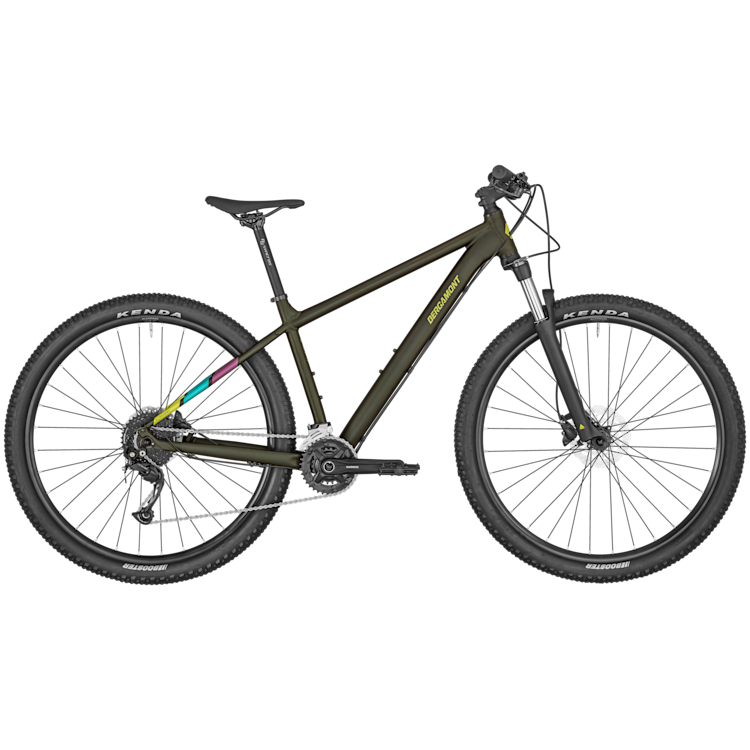Bergamont Revox 5