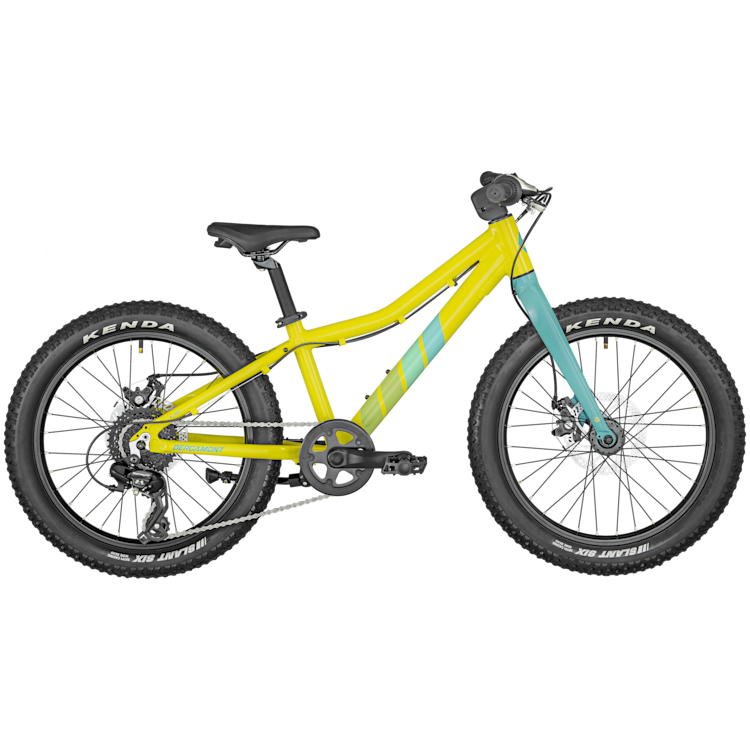 Bergamont Bergamonster 20 Plus yellow