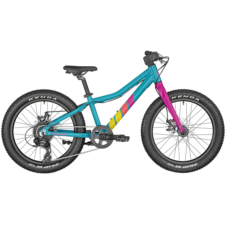Bergamont Bergamonster 20 Plus blue