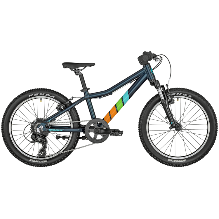 Bergamont Bergamonster 20 blue