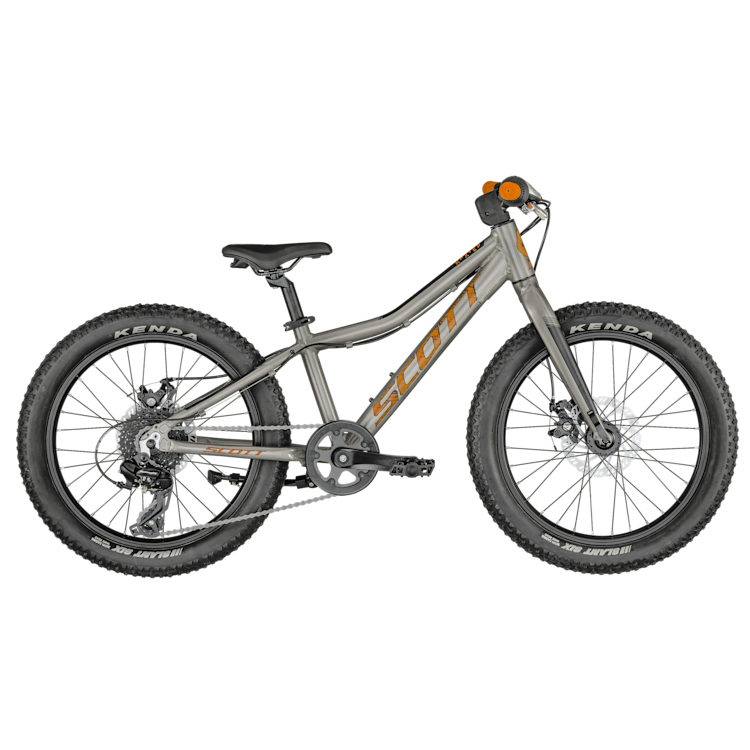 SCOTT Roxter 20 silver Bike