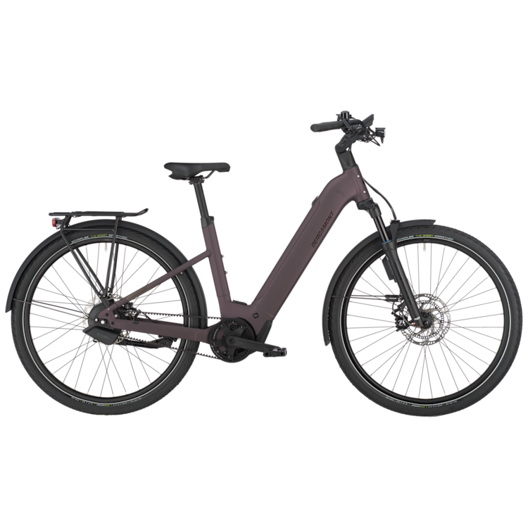 Bergamont E-Horizon Tour 10 Belt Wave