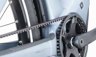 BELT AND NEXUS INTERNAL GEARED HUB