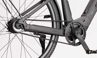 BELT AND INTERNAL GEAR HUB