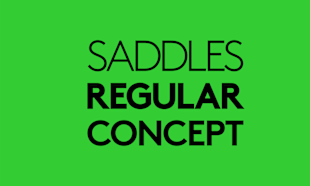 saddles regular concept