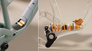 Shock Compatibility