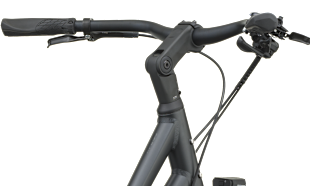 Adjustable Stem 