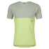 spray grey/acid yellow