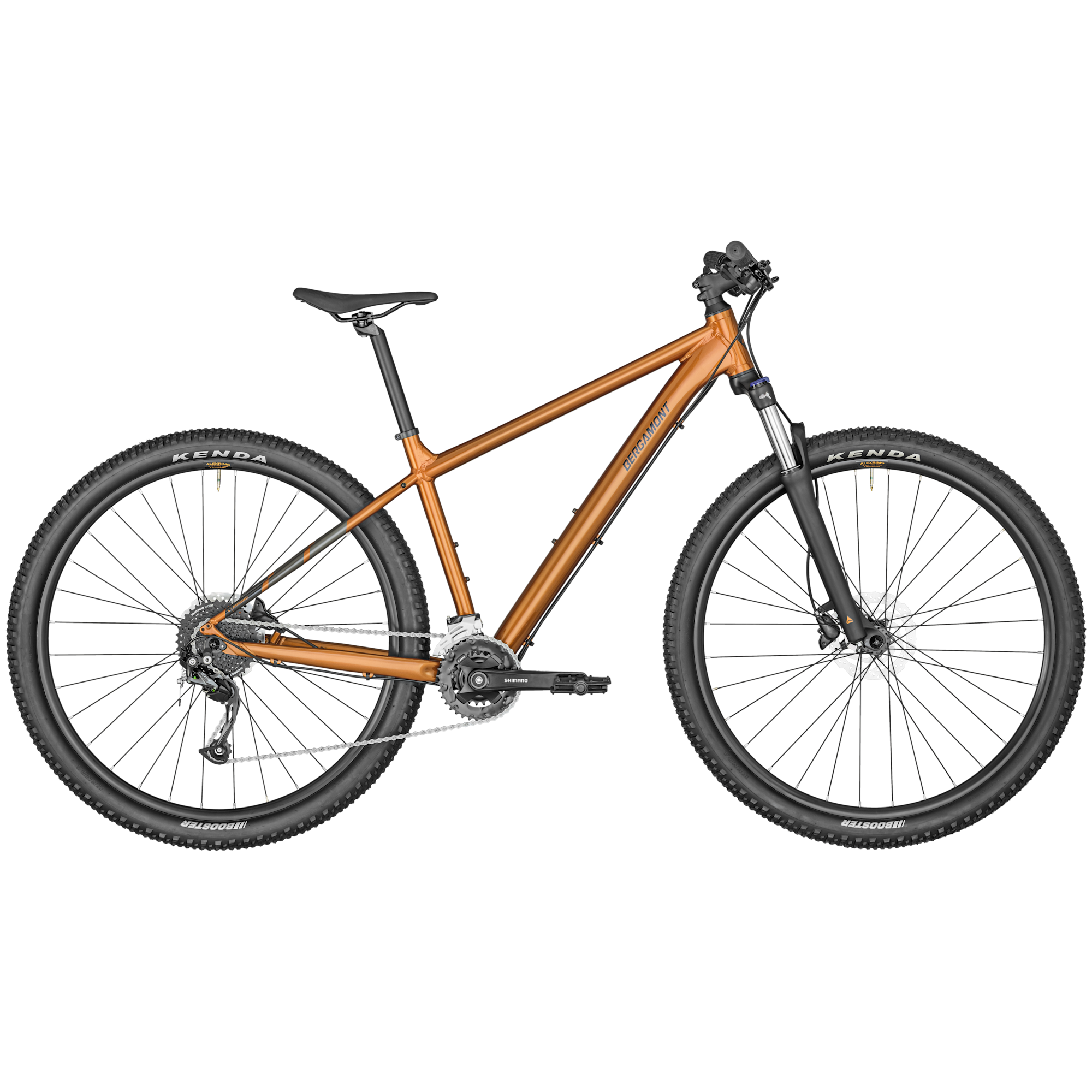 mountain bike bergamont revox 29