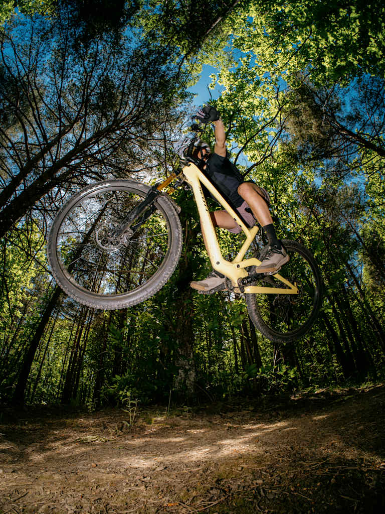 A mountain biker soars through the air against a backdrop of lush green trees and a bright blue sky.