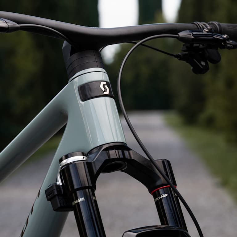A close-up of a grey bicycle's handlebars and front fork is set against a blurred background of a tree-lined path.