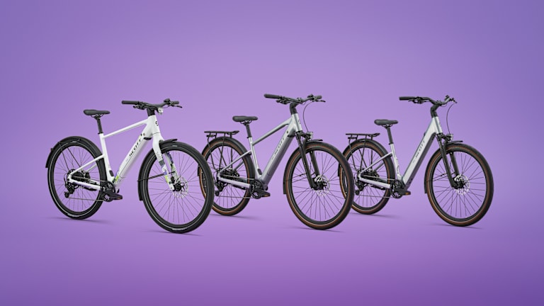 Sweep Family bikes
