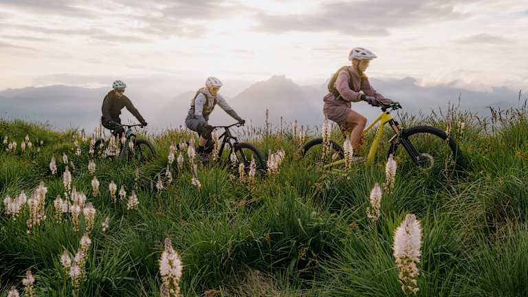 Three cyclists ride through a field of tall grass and white flowers with mountains in the hazy background under a cloudy sky.