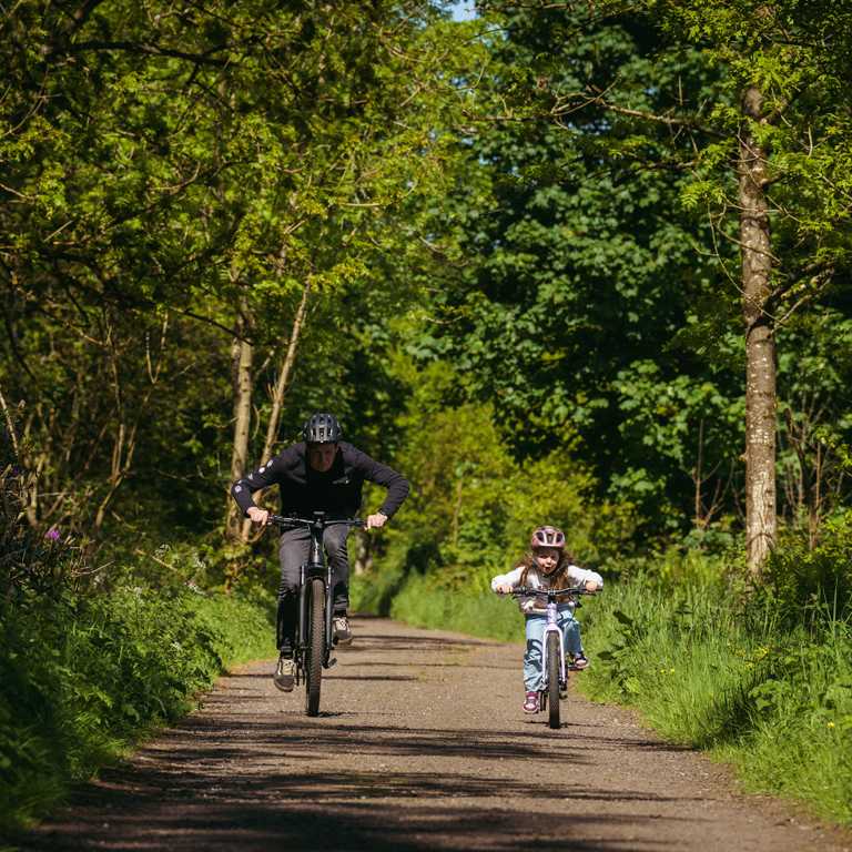 A man and a young girl cycle on a tree-lined dirt path.
